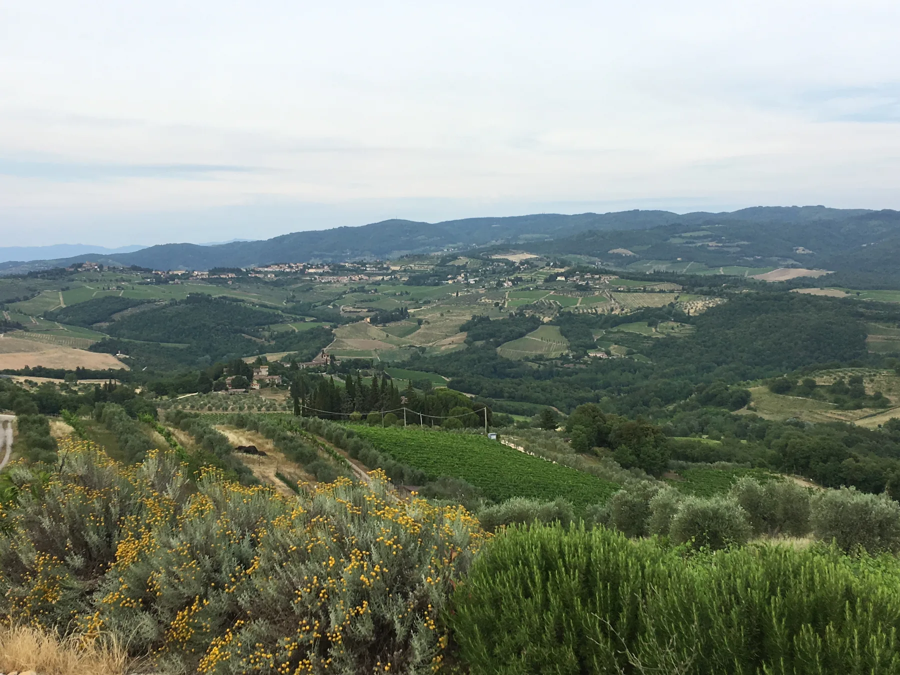 Bucciarelli 1