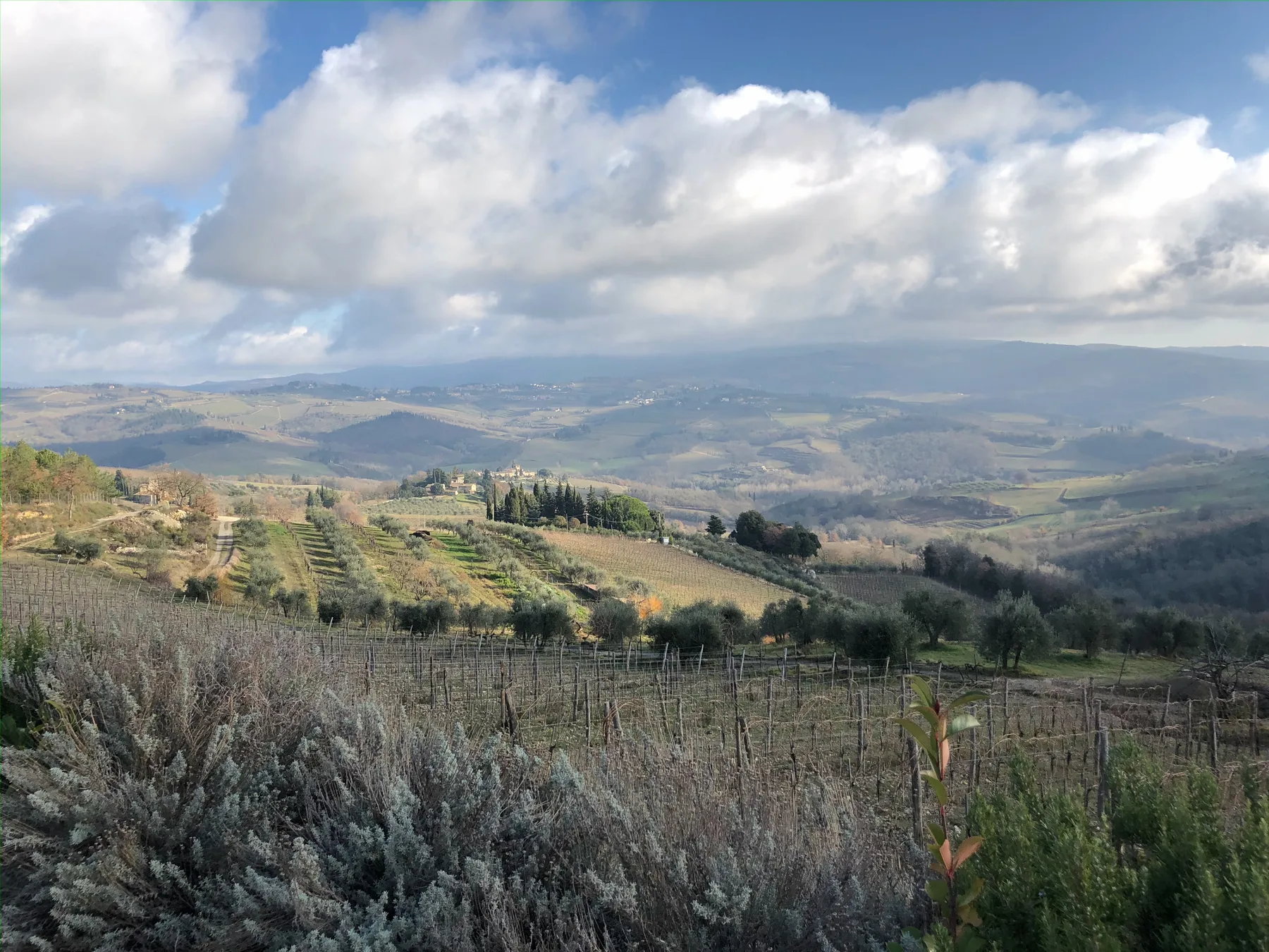 Bucciarelli 3