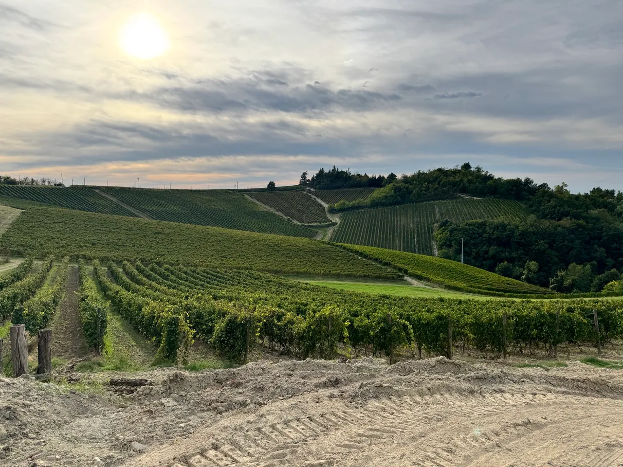 Vigneti Massa 5